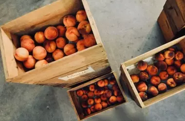 La Unión Europea y el Desafío de los Residuos de Plaguicidas en Productos Agrícolas Importados