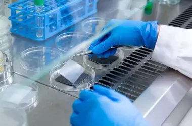 Innovadores Recubrimientos Antimicrobianos Inteligentes: Una Solución Sostenible para la Higiene