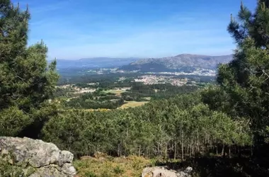 Galicia Lidera la Restauración Ecológica con Innovadora Iniciativa Legislativa
