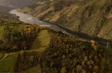 Galicia lidera la protección global de ecosistemas deteriorados con una iniciativa legislativa pionera