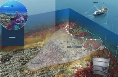 España e Italia Obstaculizan la Ampliación de la Prohibición de la Pesca de Arrastre de Fondo