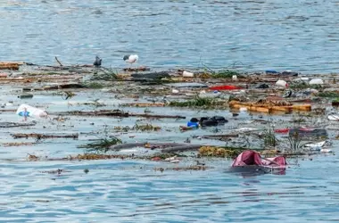 Plásticos invaden las reservas marinas de Canarias: Teno-Rasca y Mogán bajo asedio de la basura oceánica