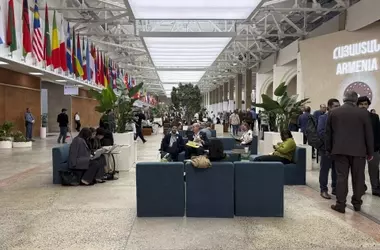 COP17: Acuerdo para Acelerar Metas de Biodiversidad, Pero Estancamiento en Financiación